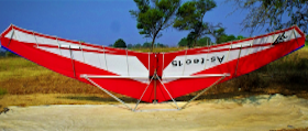 View WSC Hang Glider Wings